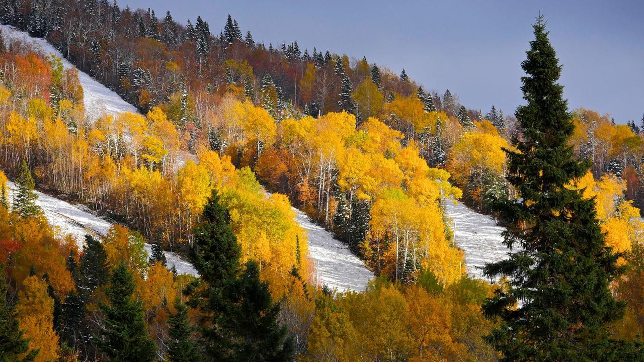 לה מלבאי Les Bouleaux - Les Chalets Spa Canada מראה חיצוני תמונה